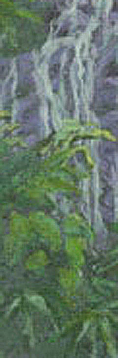 vertical falls